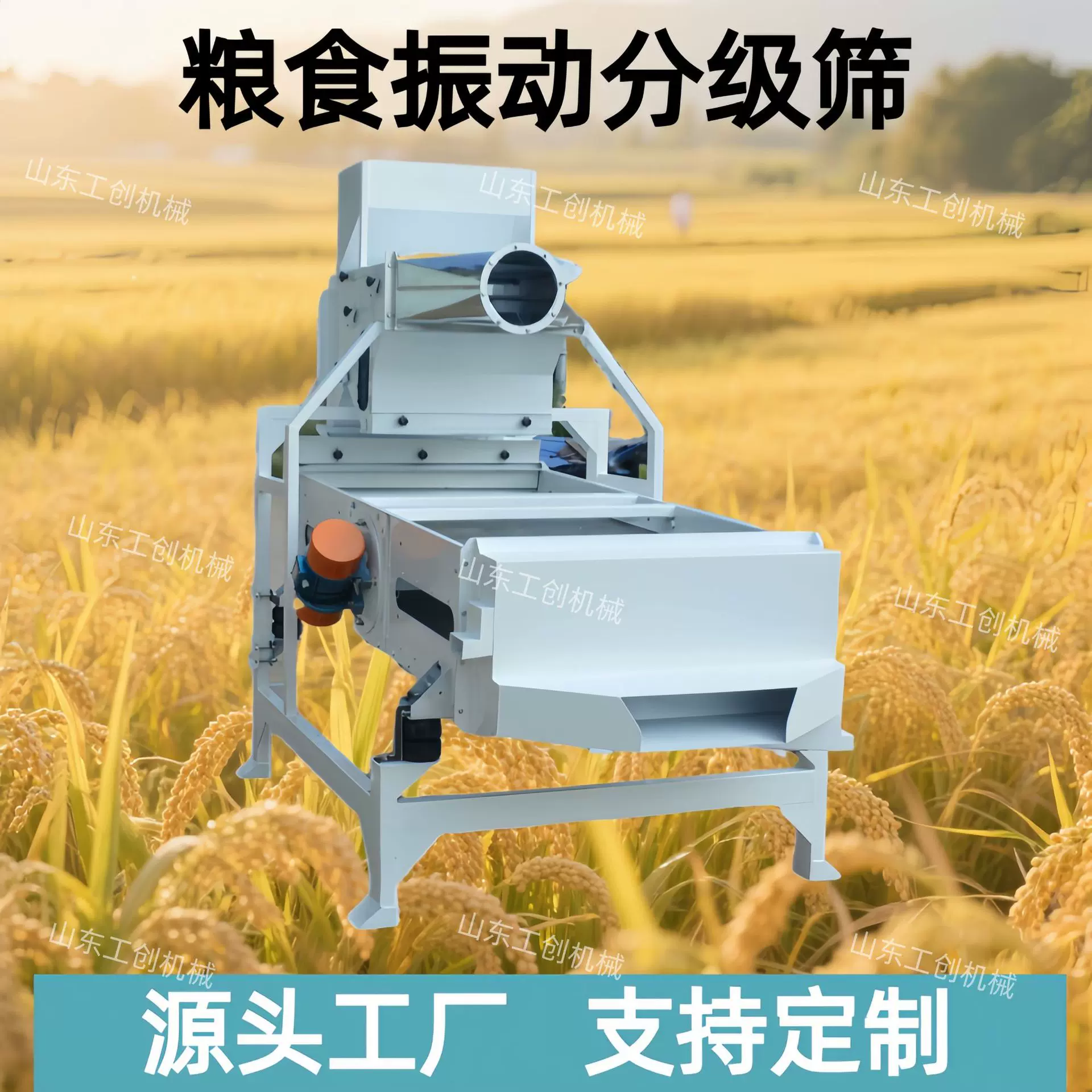 水稻玉米振动分级筛 稻谷杂粮去杂清理筛 大豆高粱吸风振动除杂筛