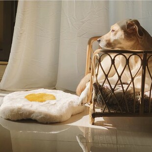 羳߶؈|؈؈乷qqů|ӛ޿ɲжСȮ؈|