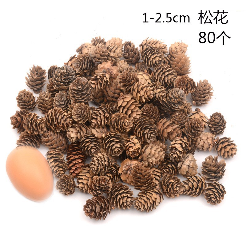 天然松果松塔干树枝儿童手工材料环创布置森林原木干花幼儿园装饰
