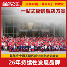 招商燃气灶全铜火盖镶铜炉头厨房电器天然液化气灶具嵌入式设计