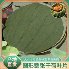 ΢ɽɺ~Ŵu~ľͰ50Ƭ/ƬAκ~