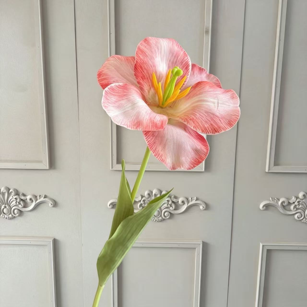 오렌지 다크 브라운