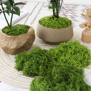 Simulation moss turf bionic artificial fake moss micro landscape layout ornaments lawn bonsai potted paving landscaping