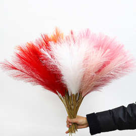 新年仿真干花芦苇客厅摆件装饰狗尾巴草商场橱窗摆饰拍摄道具批发