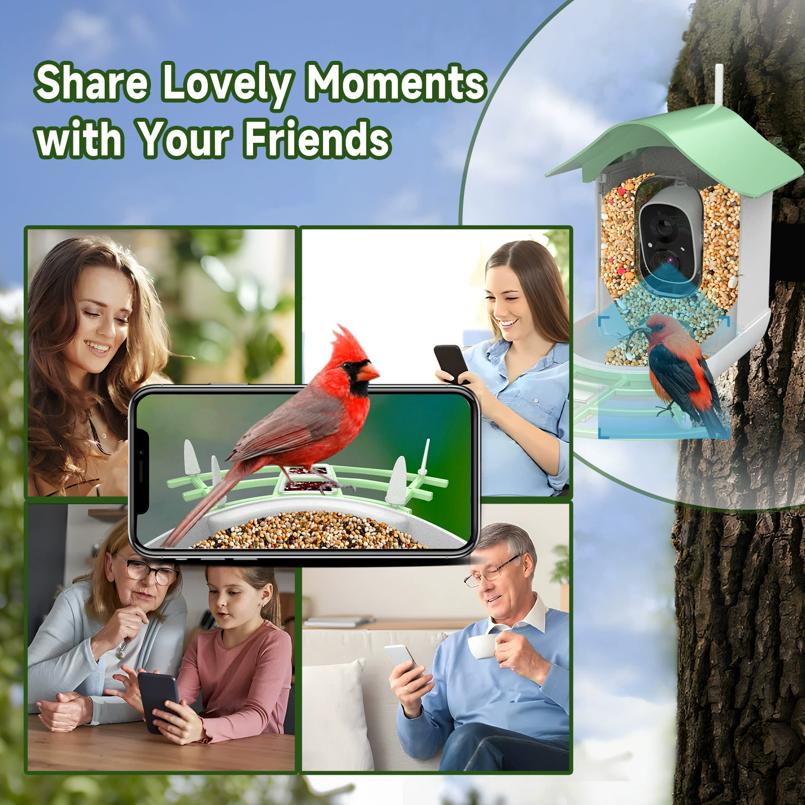 Smart bird feeder camera AI bird recognition remote low power solar wifi камера