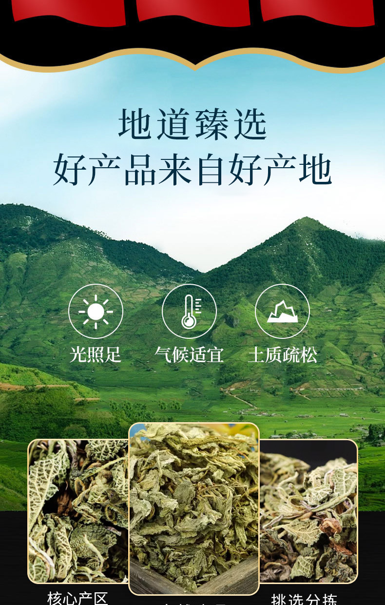 Ha Ma Cao (Salvia plebeia) — Dried Food Herb, 500g Loose Leaf key features