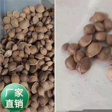 ���l���~��ľ��N��ɽ�Ә�N�����ֹ��Ӻ������ɽ���ּ޽�