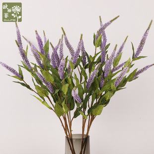 �߶ˆ�֧5�^��β�ݷ��滨 �zӰ�Ҿ��b廨 ���W��c������β��