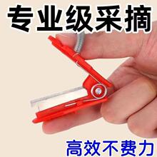 ˮ���߲˲�ժ������������횵�ժ�˲�ժĴָ�������S��ժ��С厵�