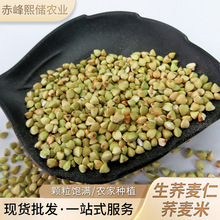 ���ɹ��s�Z���w���� �ּZ��������s�Z���w�� �r���������w����