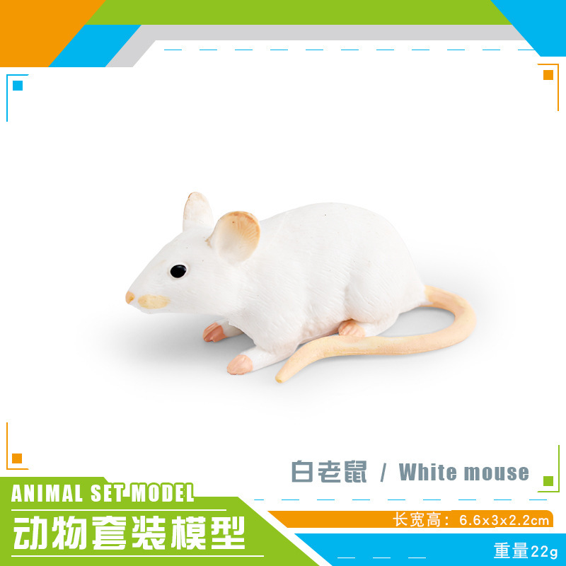 Transfronterizo de los niños de simulación cognitiva bosque animal asiático oso negro perro oso creciente oso negro modelo decorativo decoración de escritorio