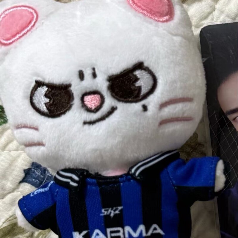 预售skzoo玩偶流浪儿童公仔KARMA挂件可爱毛绒|undefined