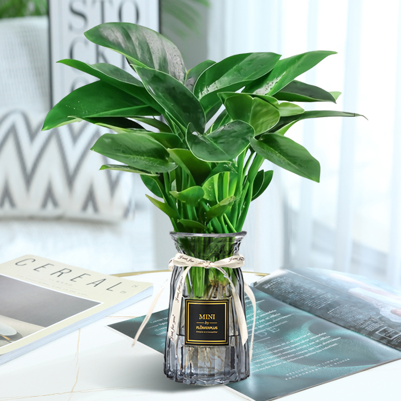 고급 대형 금다이아몬드 3개(회색 종이접기 라벨병) + 크리스탈 머드 + 영양액