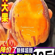 �˅����rˮ�������˅���10�����S�������߲ʸ��C������ɳĮ����