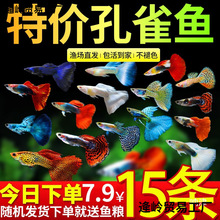 ��ȸ�~���~�^�p�~���NС�͟Ꭷ�~���w��ˮ���B�ͻ��~���^�p�~С�~