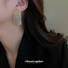 Silver needle, fashionable advanced metal earrings, European style, high-quality style, wholesale