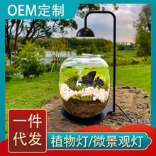 OEM定制植物灯植物生长灯微景观灯苔藓灯植物补光灯仿太阳植物灯