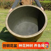 ?�ش�̖�Ӻ����ϻ���Nֲ����ͥԺ�N���k�����B�~˯ɏ�ɻ���̖��