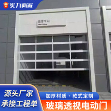 玻璃透视门汽车4S店专用透视门铝合金框架黑玻镀膜车库门电动门