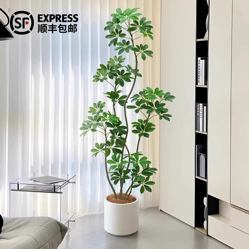 Крытый экстравагантный диван в горшках на полу большие легкие растения бионические зеленые растения