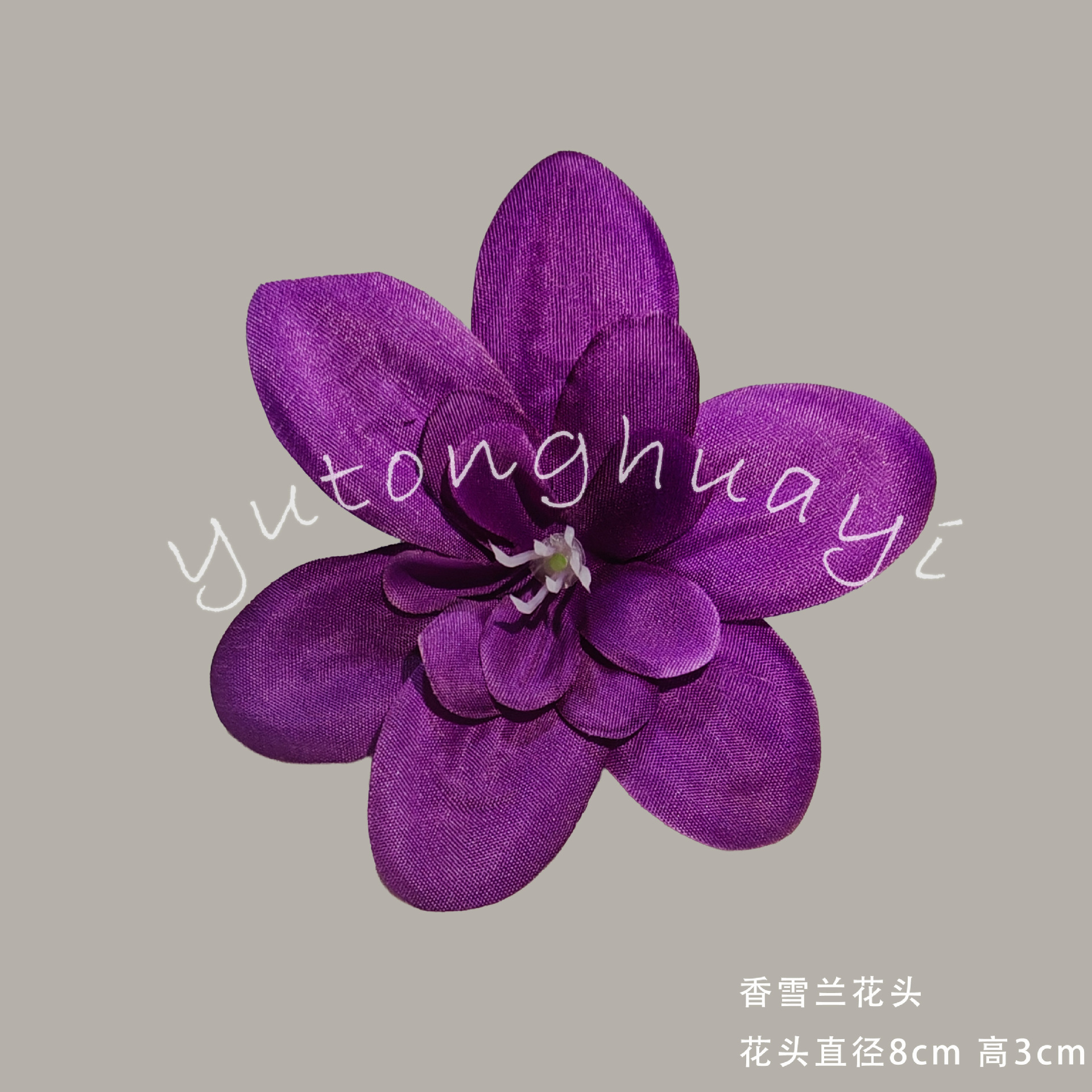 Fragrant Snow Orchid-Dark Purple