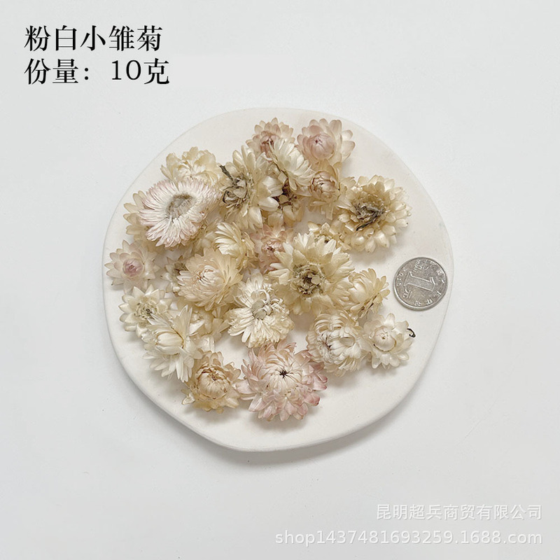 【各种果实类干花】圣诞果实类装饰品干花干果香薰蜡烛DIY橡果精|undefined