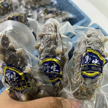明尊大连高端即食海参500g刺参即食海参 厂家批发 顺丰发货