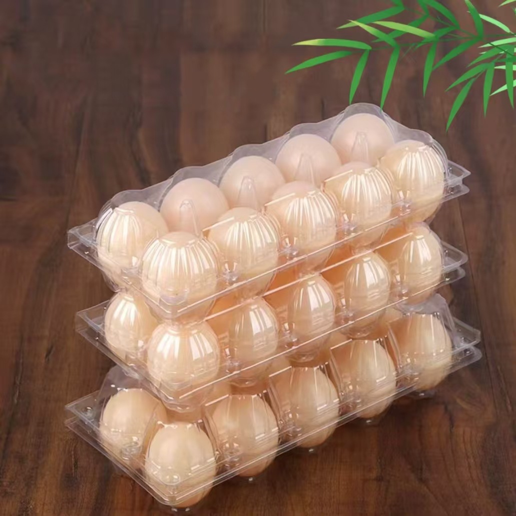 微信图片_20250803120044