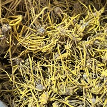 ��ș���S����  �S�� �o����؛ �a��ֱ�� ��؛���l�\�Ž��I �S����