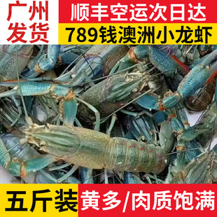 ����С���r�r��789�X��ˮ�Bֳ�{���r�ش�����r5���b��S���]