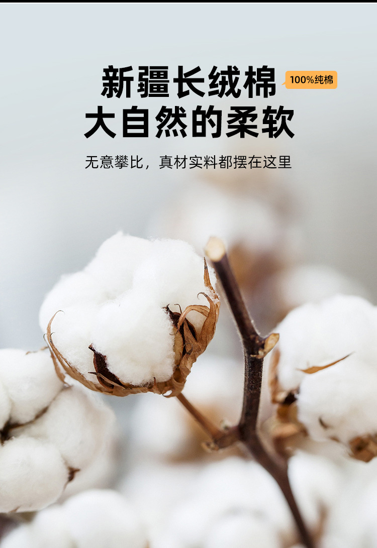 品质棉_05.jpg
