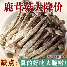 鹿茸菇干货特产级500g鹿茸菌菇农家食用菌福建古田高山蘑菇菌类