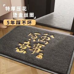高級感の滑り止めマットは戸口のネジで玄関の玄関のフロアマットに入ります。