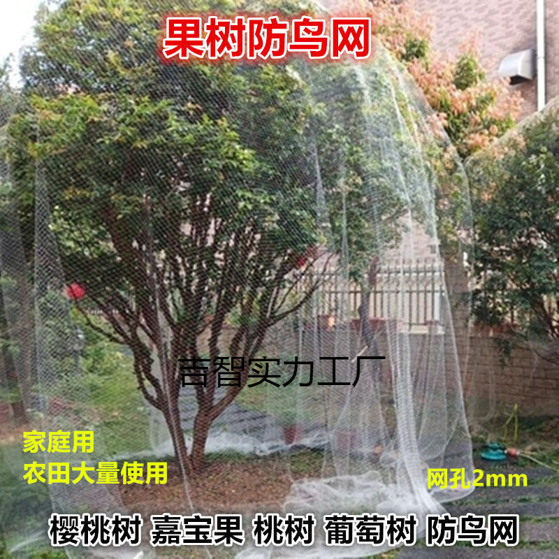 专用子樱桃树防鸟网防护罩尼龙网批发蔬菜防鸟网果子网罩果树葡萄