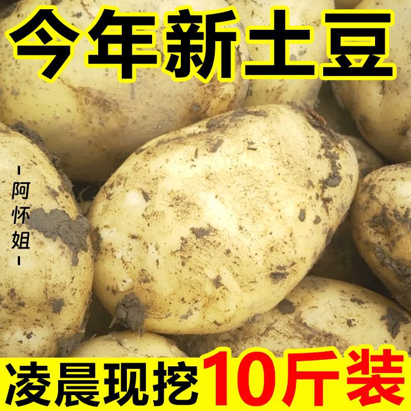 云南黄皮土豆10斤粉糯新鲜现挖马铃薯洋芋芋头当季蔬菜3斤批发