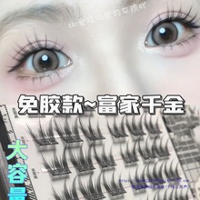 zǧٽëŮF۽ëȻŮ2025¿zˮճ