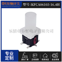 LEDp|_PKFCA06103-16H߈A͸IñԴ^SҰo