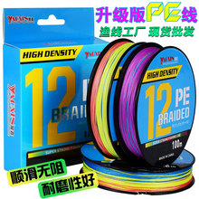 �S�����l100��12��PE���ڿ�·���hͶ�~���������������~��