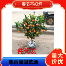 �ʵ۸��� ���ڵc�ʵ۸̘���ؕ�������������Ә���ɰ���٘���