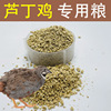 rutin Chicken feed Brooding chick feed quail feed Opening rutin Ducks and geese feed