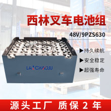 ����FB25ƽ����늄Ӳ�܇2.5�������ƿ9PZS 48V630AH�U����늳ؽM