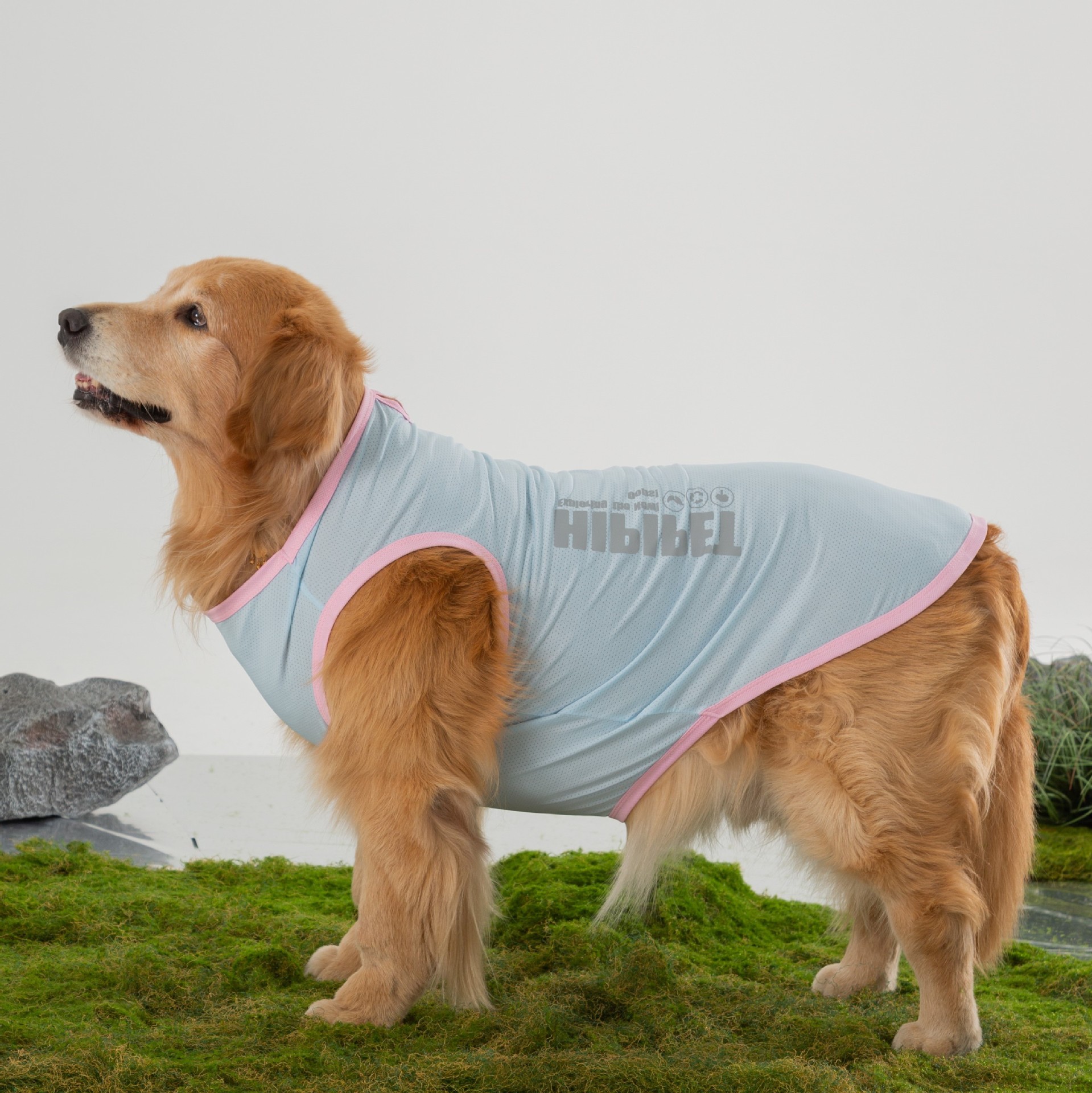 Impermeable para perros grandes, de verano, diseño simple, protección contra la lluvia para viajes al aire libre, ropa para perros Labrador.