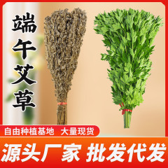 ヨモギの葉、端午節の飾りとして窓やドアに掛ける、家庭用、野生、足湯、入浴、蚊よけ、産褥期用、ハーブ