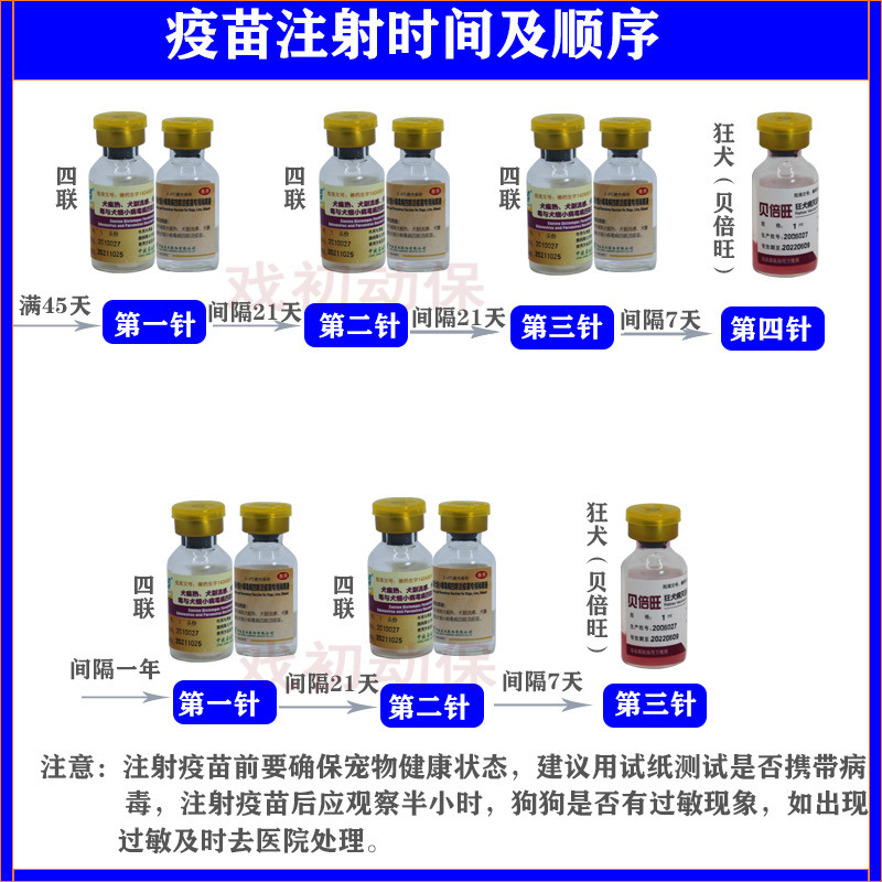 注射疫苗顺序.jpg