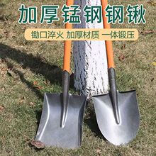大铁锹锰钢铁铲子户外挖土松土神器园林园艺工具种菜农用木柄铁锨