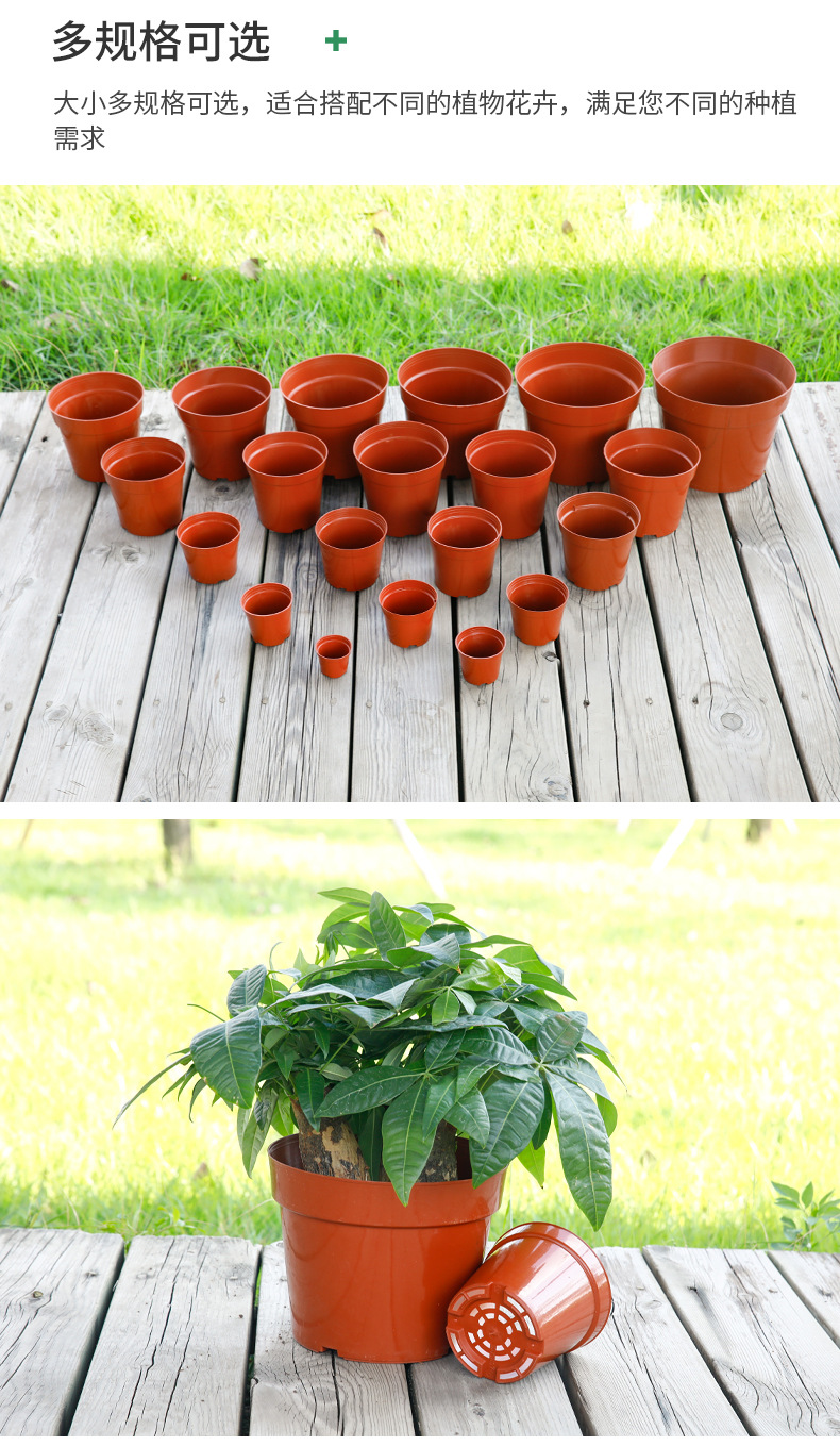 C型网底花托盆 (14)