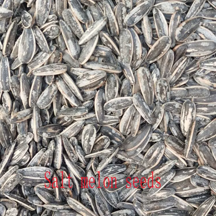 GuaziSaltSunflowerSeedExport厂家批发炒货熟瓜子常年出口葵花籽