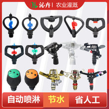 ��ƺ�G���@�֞�ˮ�ܲ˽��m���D���^����u�ۇ��܇��������Ԅӹ��