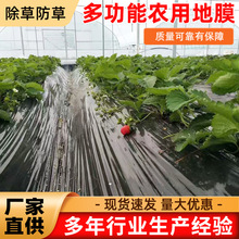 ɫĤr÷Nˈ@رLݹNֲrzĤ