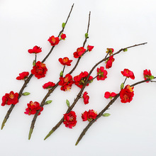 ��ʽ����÷��֦�D÷��֦�辰�廨�b��L�ŵ����赸�����Ĕz����